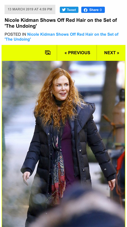 Nicole Kidman from The Undoing - Soia & Kyo jacket